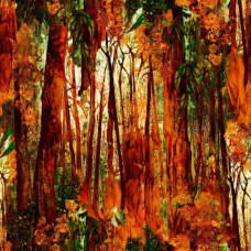 Eucalyptus Hinterland 3012 L Forest orange